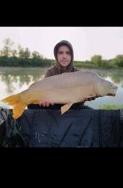 Carpline24 Hungary
