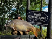 Carpline24 Hungary
