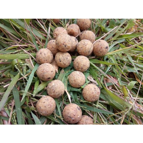 Carpline24 - Tigernut bojli