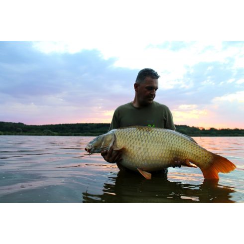 Carpline24 - Strawberry - Scopex bojli