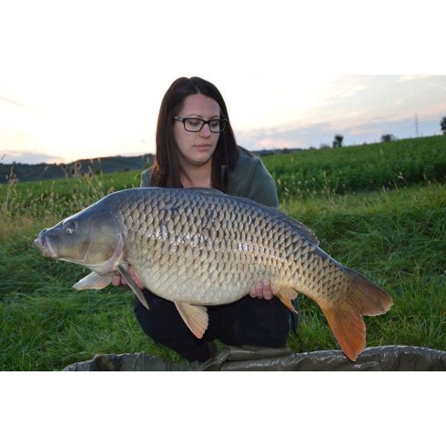 Carpline24 - Halibut - Tuna Bojli