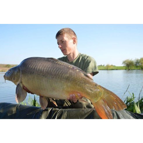 Carpline24 Peach Barack Bojli