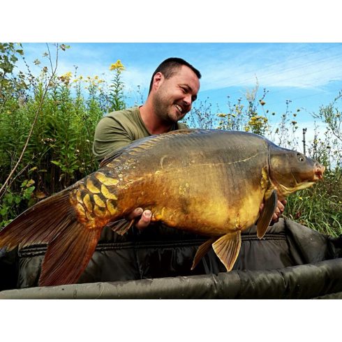 Carpline24 Robin Red Bojli